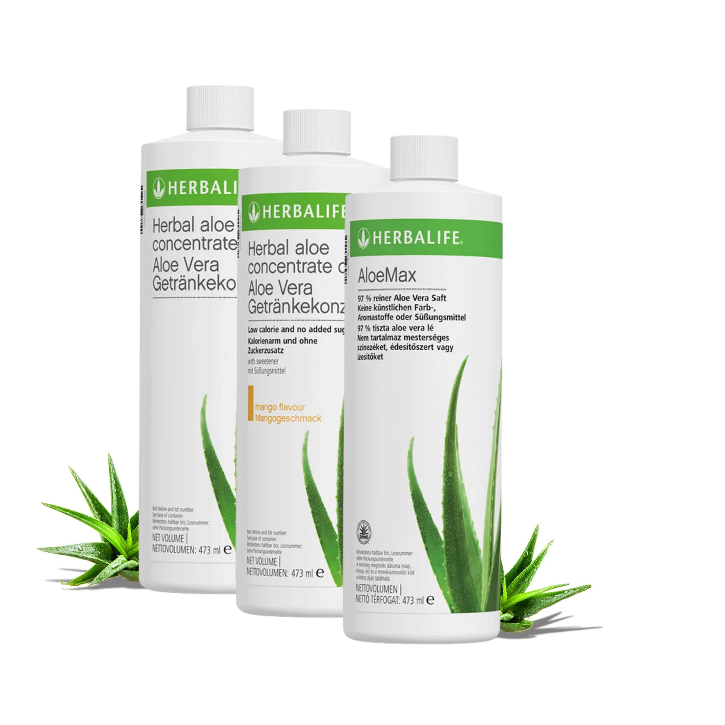 Aloe Vera Getränkekonzentrat
